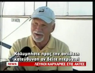 pagritianews.gr- Καρχαρίες στις ακτές