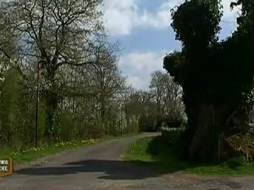 Chêne de Saint-Sulpice-le-Verdon