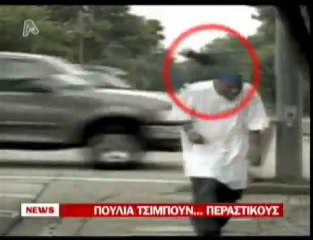 pagritianews.gr- Πουλιά τσιμπούν περαστικούς