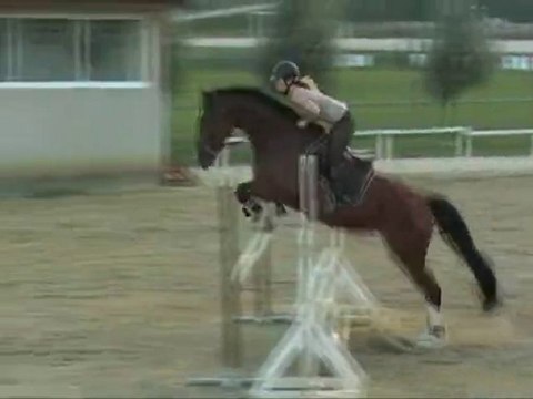 Gunfire Entrainement CSO Chalamont