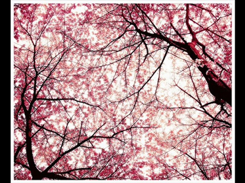 Je t'aime tellement éwè'