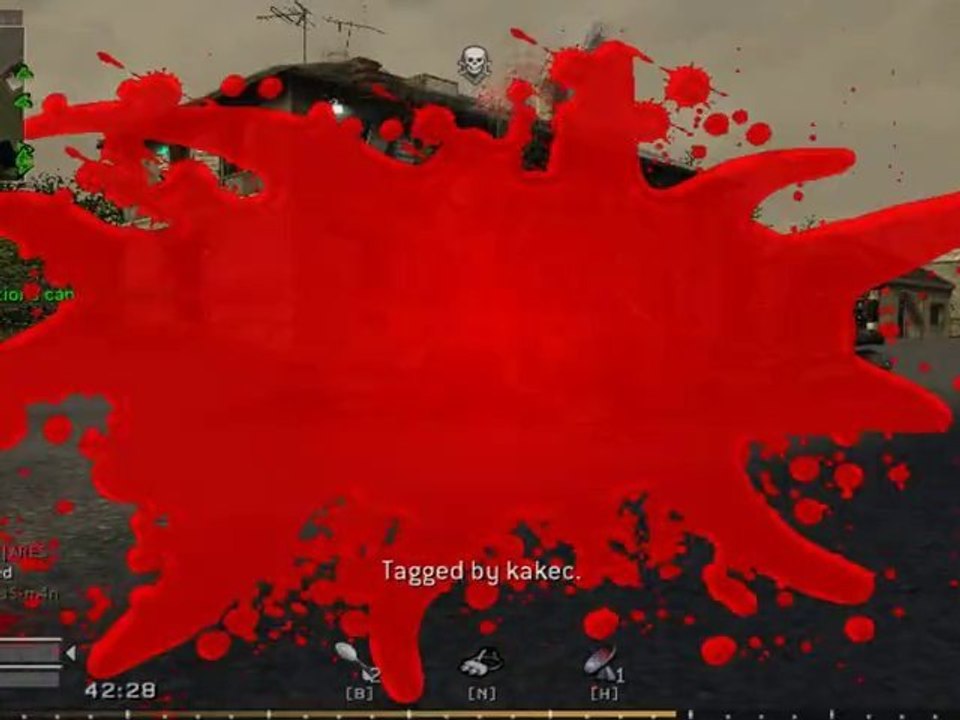 [COD4] présentation mod paintball