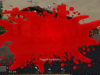 [COD4] présentation mod paintball