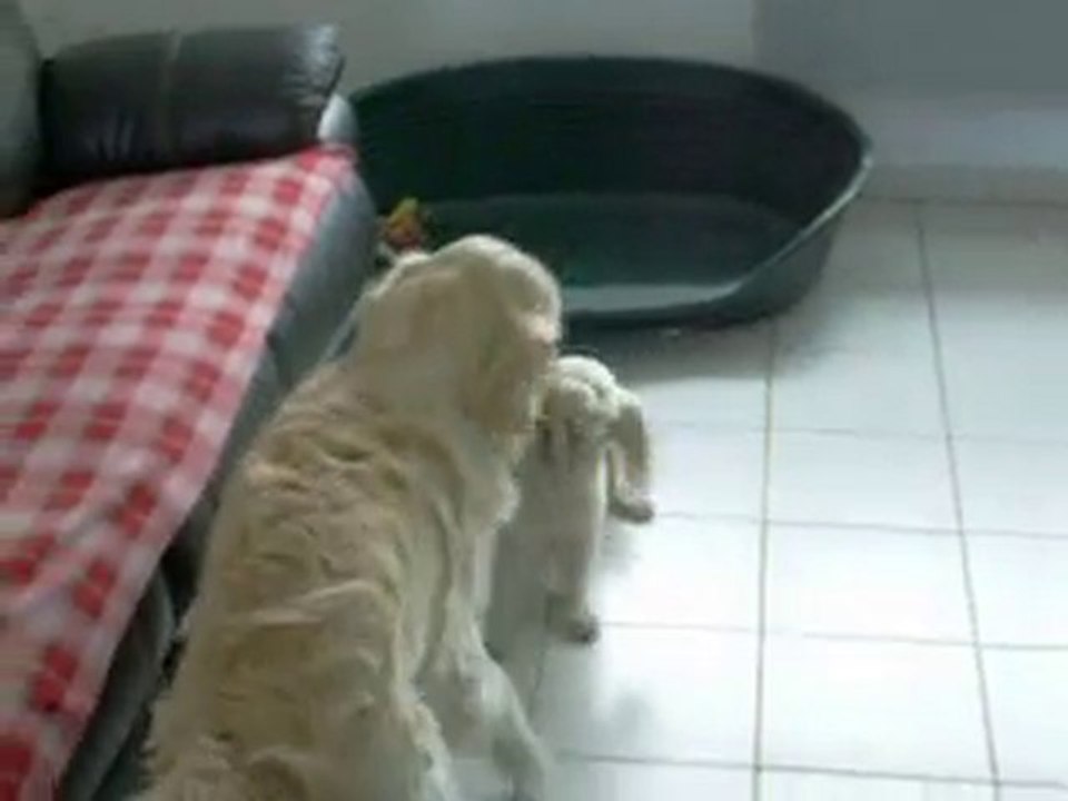 vanille et denver