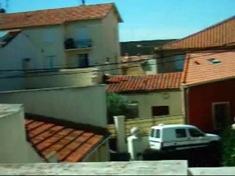 L'attaque du chien enragé