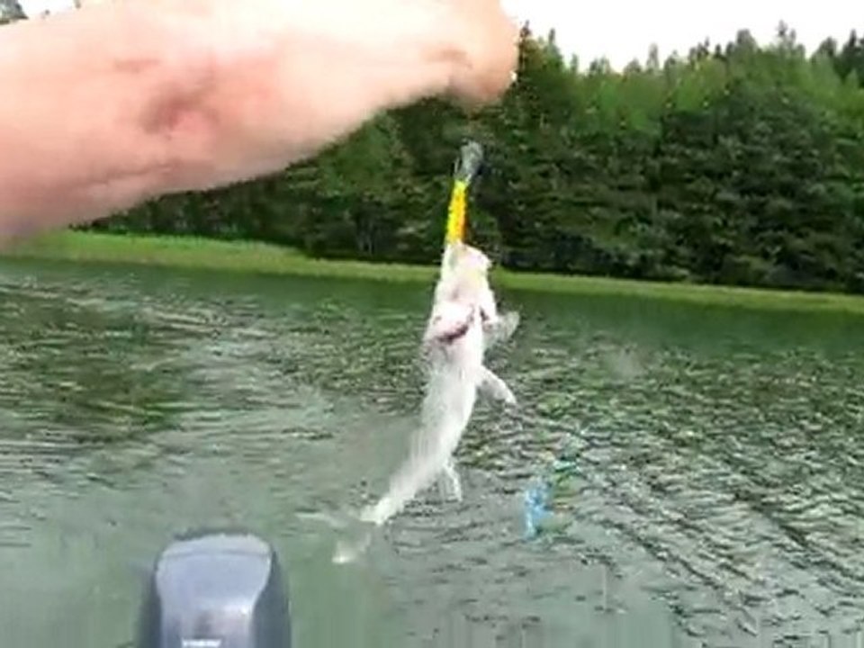 SUDAK SIRTI  06.07.2010 002