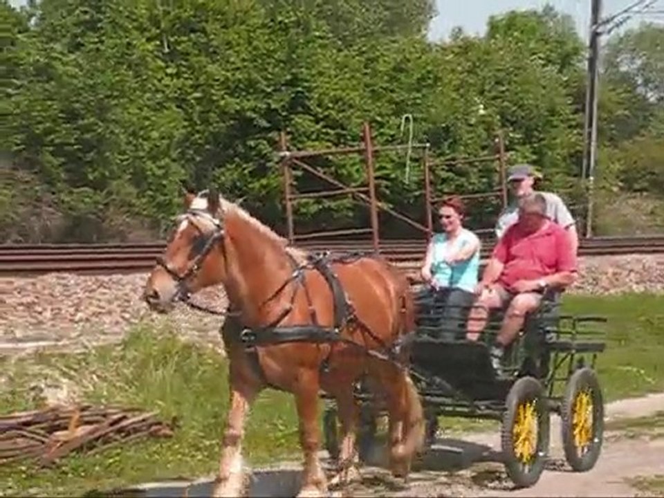 Après-midi tranquille
