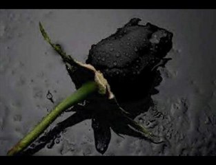 Yar gelmesse gelsin ölüm dodurgali20