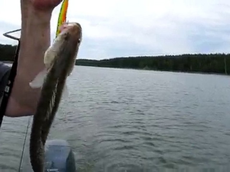 SUDAK SIRTI  06.07.2010 005