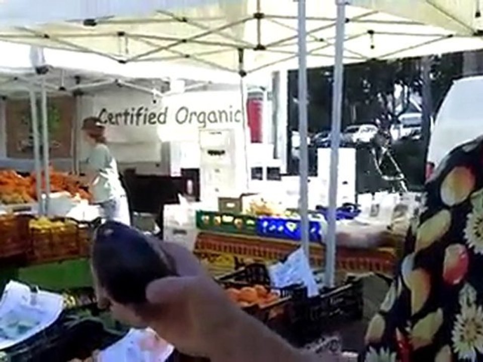 Live food guru at the farmers market
