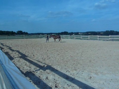 Séance à pied_ 6 juillet 2010