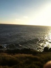 Les Baleines mini de loin