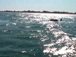 Wakeboard Session 1 by Jojo