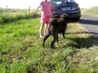 real en promenade avec noémie