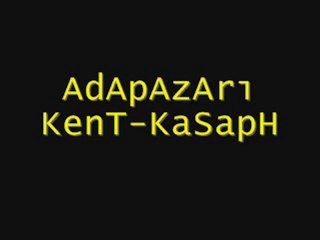 Adapazarı Kasap Havası