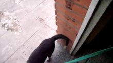 Mora es mala anfitriona jeje