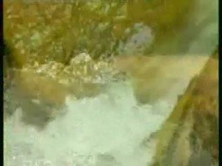 Muhabbetullah ( Allah Aşkı )