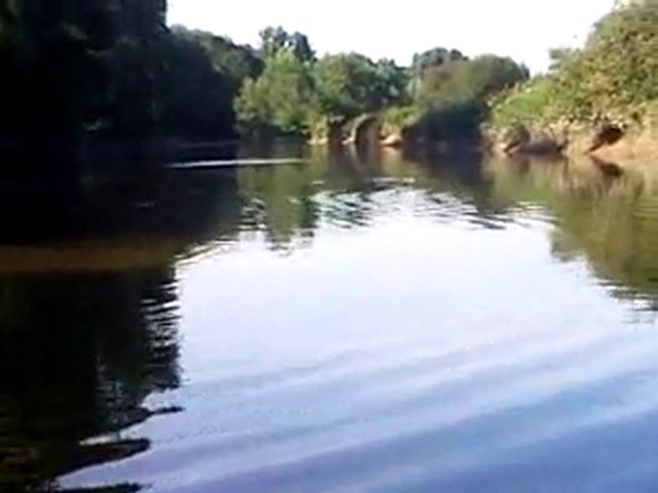 saute poisson