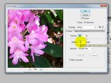 Photo Editing Basics Part 6 - Using the Smart Sharpen Filter