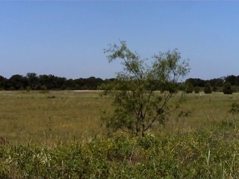 Just a Field in Texas that I ride my bike by.