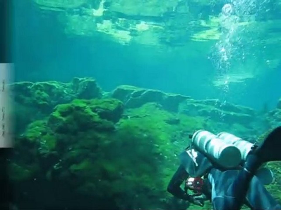 Tauchen Yucatan -Teil1