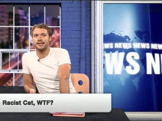 Wait, Is This Cat‚ Racist? WTF? - The Digg Reel