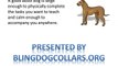 Bling Dog Collars personalized dog collar studded dog collar