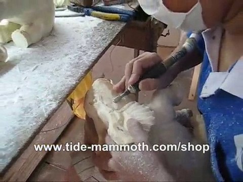 mammoth ivory carving Skill Demonstration African Elephant