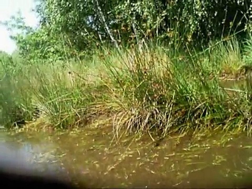 Quad-Warriors Juni10