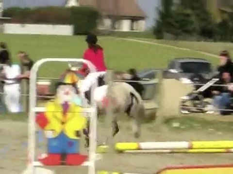 CSO au manège enchanté