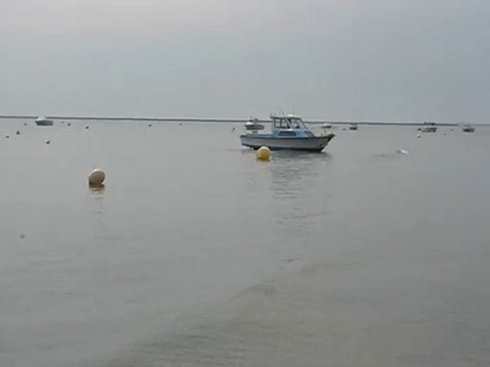 Noirmoutier : bateaux