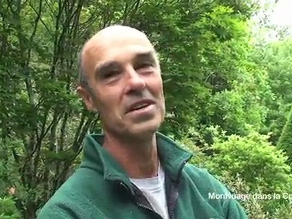 Les loups et la Creuse, écrin de verdure 3/3