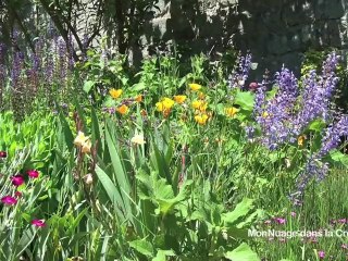 Anne, notre Greeter et Aubusson 1/3
