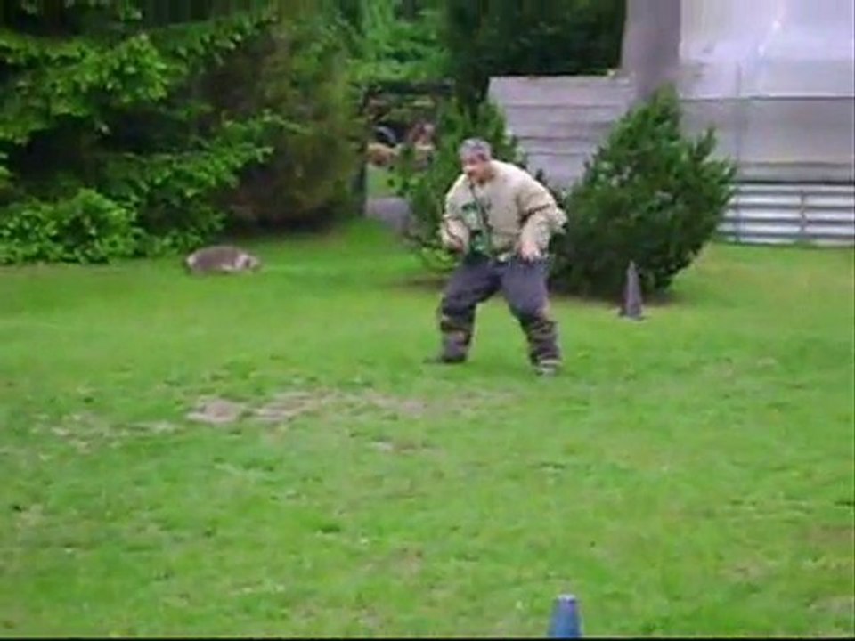 EDENE DE LA CITE DES LOUPS GRIS DE 9 A 15 MOIS