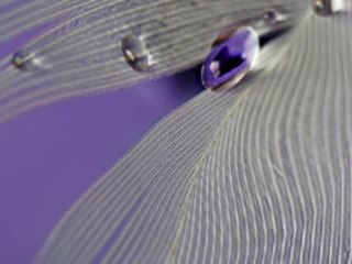 Las lágrimas de un Angel