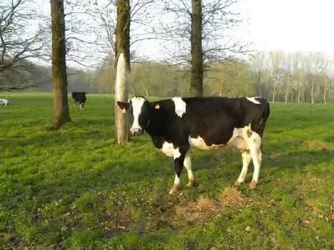 Diaporama de l'année 2010 - 8ème partie