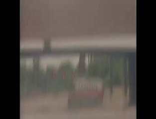 Come non mettersi in salvo da un'alluvione