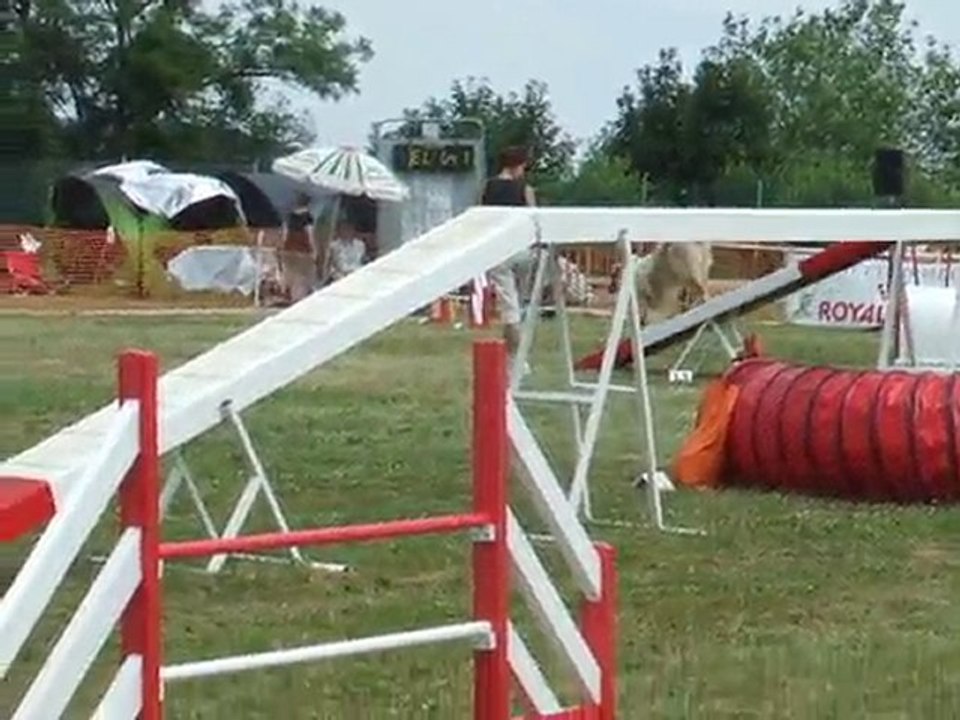 Maybe Agility 1 Finale GPF Creusot 2010