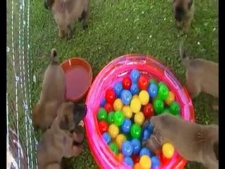 Don`t worry be happy !