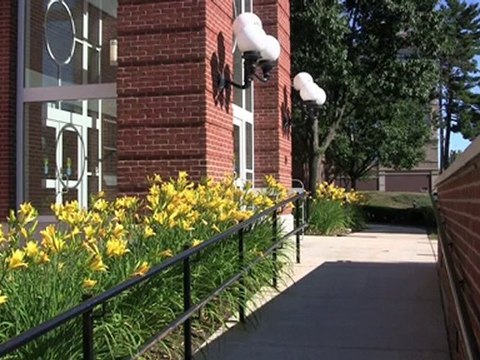 West Hartford Lux Bond and Green Robbed in Broad Daylight