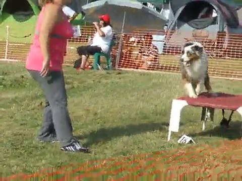 Baxter Agility 1 Finale GPF Creusot 2010
