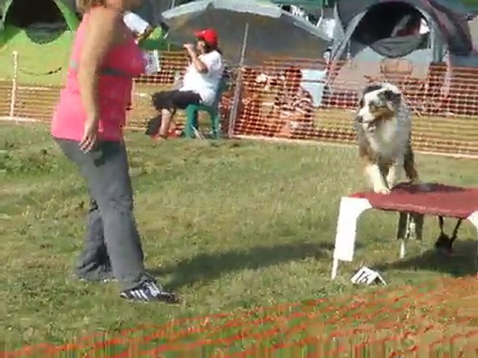 Baxter Agility 1 Finale GPF Creusot 2010