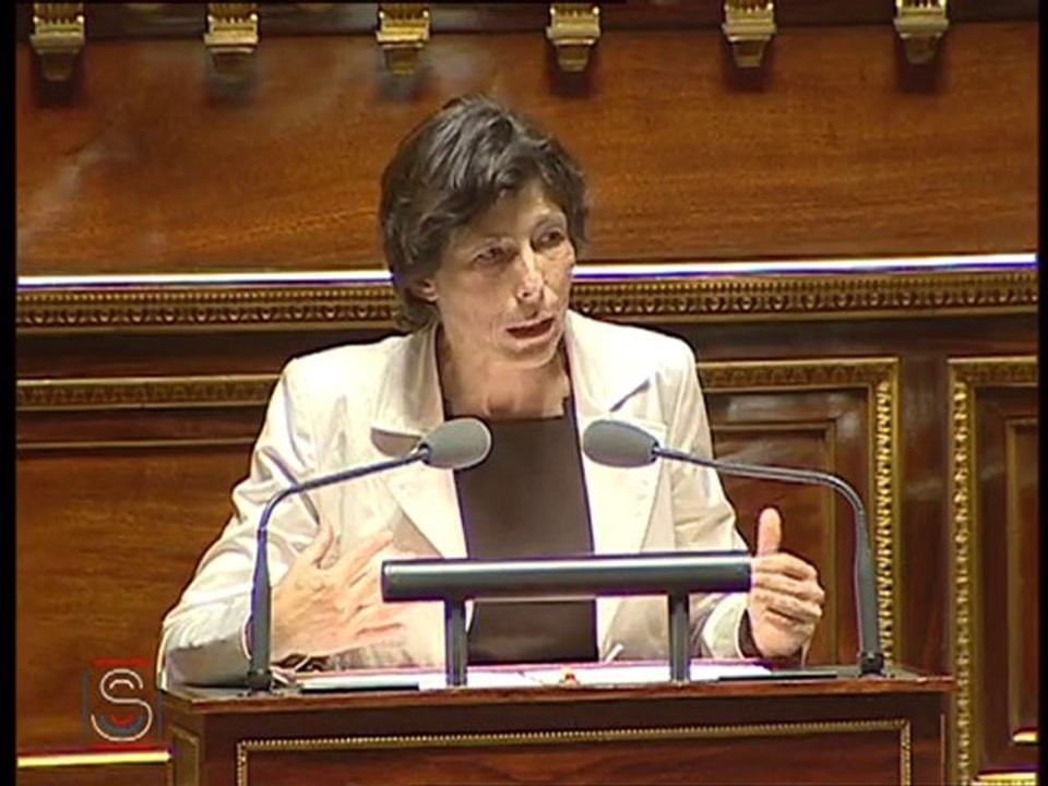Discussion générale Loi violences au sein des couple