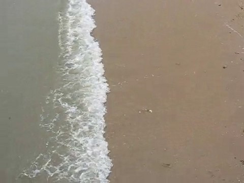 Noirmoutier : plage Bois de la Chaize