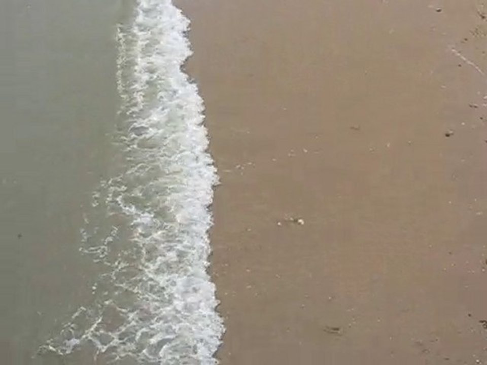 Noirmoutier : plage Bois de la Chaize