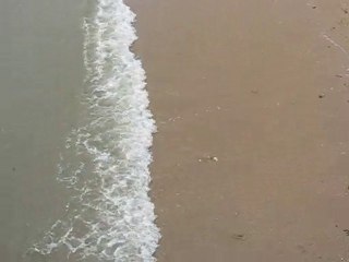 Noirmoutier : plage Bois de la Chaize