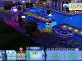 Sims 3 Ambitions-New Skills and Items