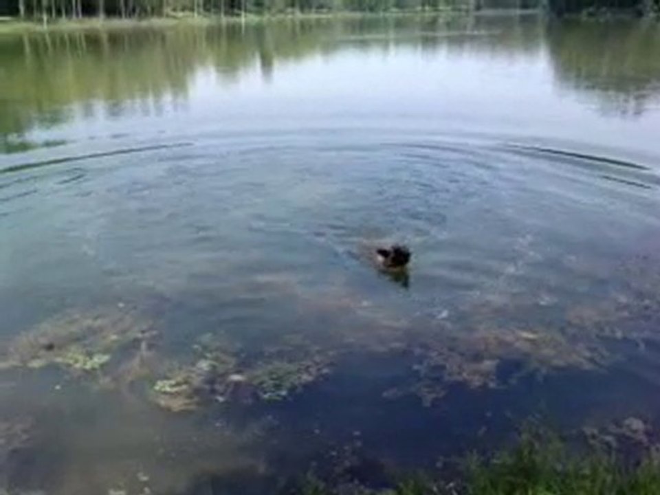 Team prenant son bain dans son lac ♥ ♥ ♥