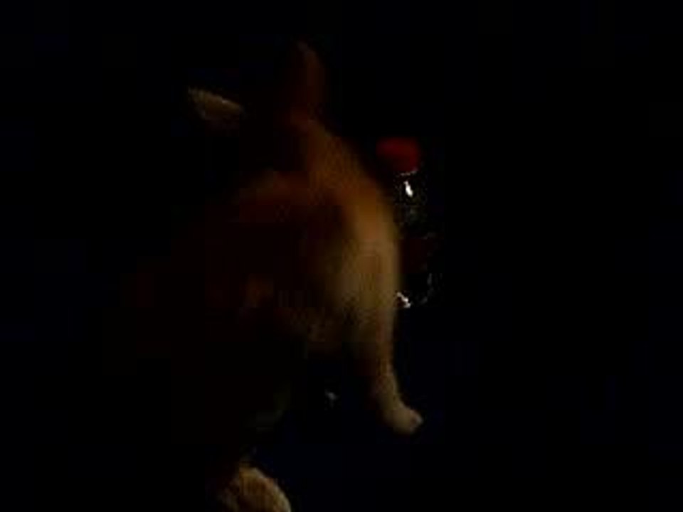 P7150258