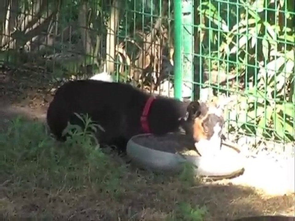 Enfants Animations Camping Le Soleil Argeles